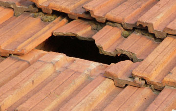 roof repair Newland